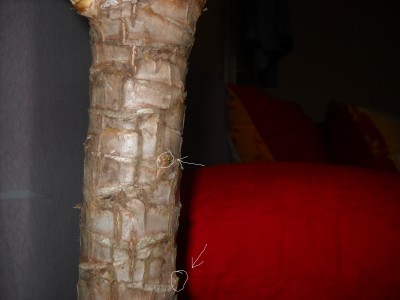 DSCN0819.JPG