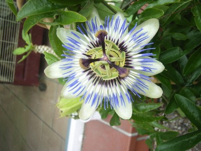 RIMG0050.JPG
