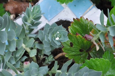 gfdhd 017 (2000x1328).jpg