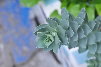 gfdhd 016 (2000x1328).jpg