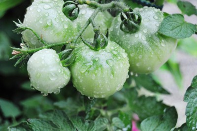 gfdhd 014 (2000x1328).jpg