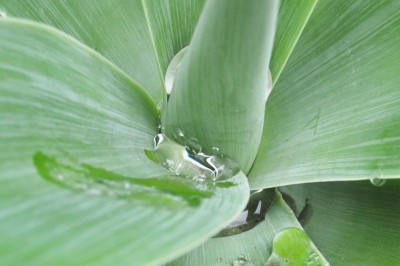 gfdhd 031 (2000x1329).jpg