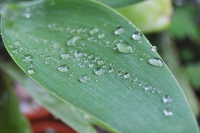 gfdhd 008 (2000x1328).jpg