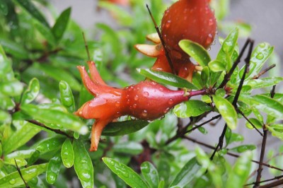 gfdhd 007 (2000x1328).jpg