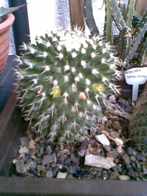 Bild005.jpg