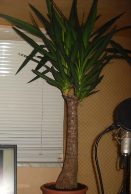 DSCN0825.JPG
