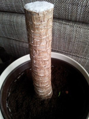 2011-08-06 11.38.48_2.jpg