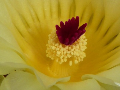 P1080316(1).JPG