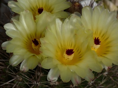 P1080311(1).JPG