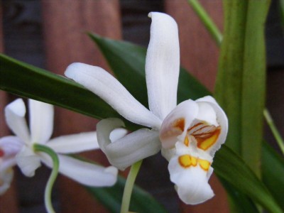 20110806 008.JPG