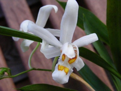 20110806 007.JPG