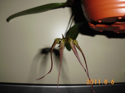 DSCI0481.JPG