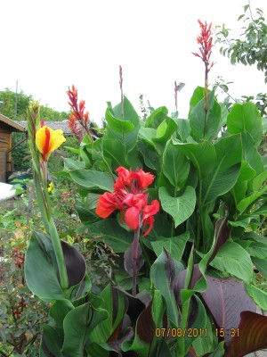 2011_7094.jpg