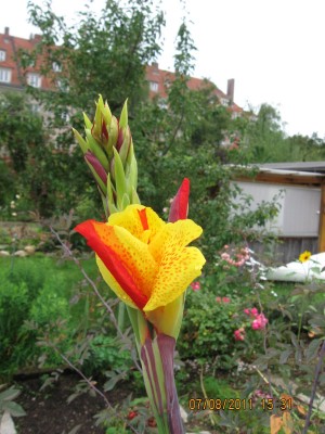 2011_7096.jpg