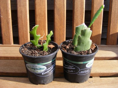 20110807 003.JPG