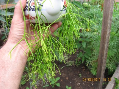 2011_7099.jpg
