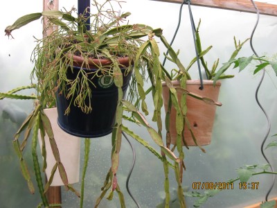 2011_7103.jpg