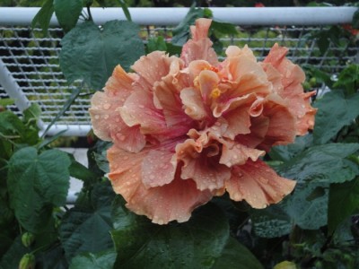 Magic Moments 8.8..JPG