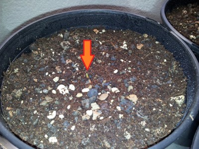 2011-08-08 20.03.51.jpg