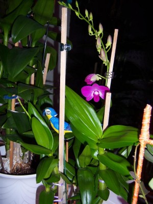 100_2247.JPG