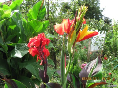 IMG_6501.JPG