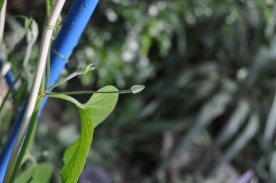 a (7) (2000x1328).jpg