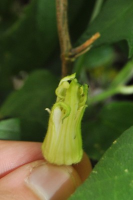 a (18) (1328x2000).jpg