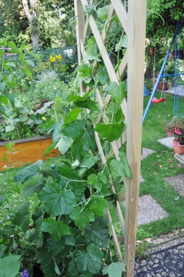 a (4) (1328x2000).jpg