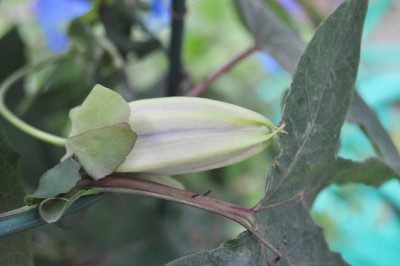 a (2) (2000x1328).jpg