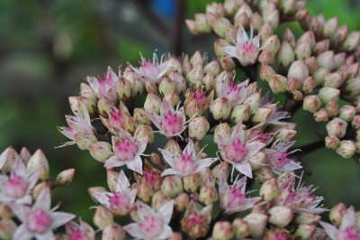 a (23) (2000x1328).jpg