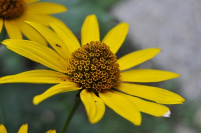 a (22) (2000x1328).jpg