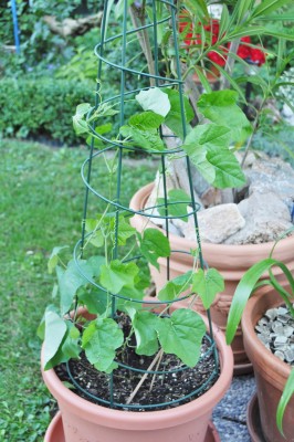 28.6. (1328x2000).jpg