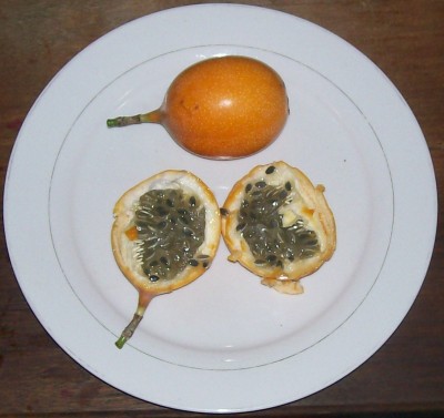 Passiflora ligularis, Granadilla 2, .jpg