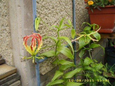 452b7abd.xl.jpg
