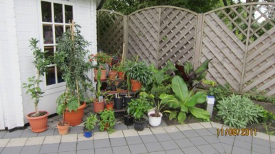 Garten-1.jpg