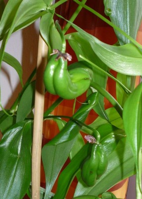 2011-08-10.JPG