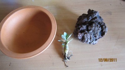 Vorbereitung 12.08.11.jpg