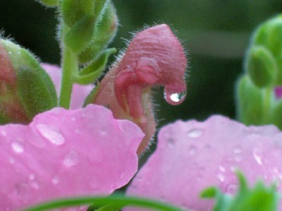 100_5896.jpg