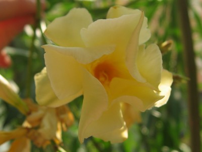 IMG_6445.JPG
