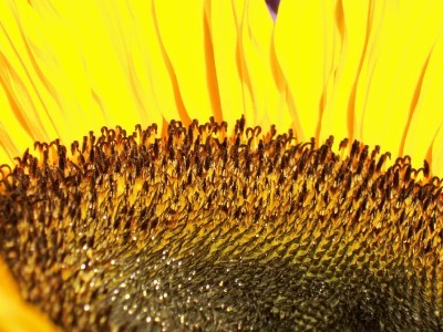 100_5925.jpg
