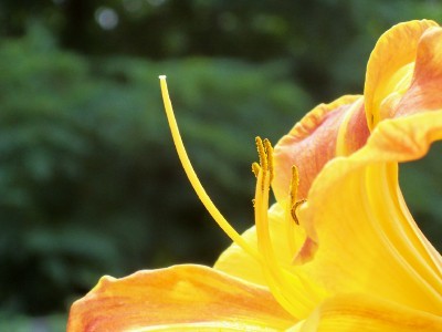 100_5950.jpg