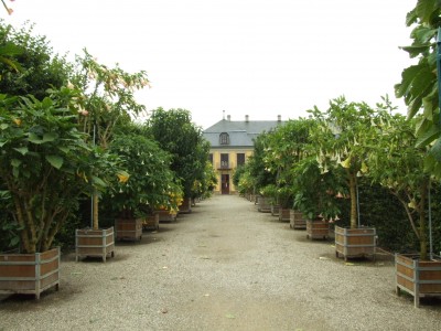 DSCF0500.JPG