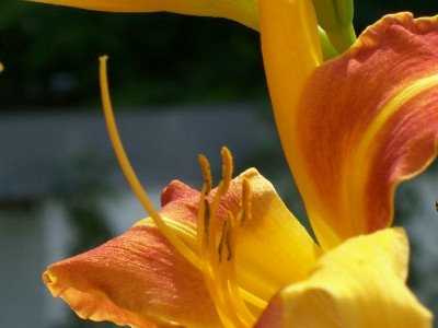 100_5949.jpg