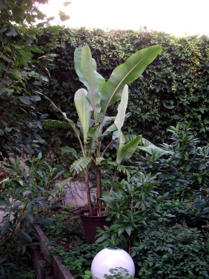 DSCF0759.jpg