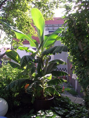 DSCF0770.jpg