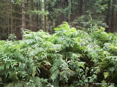 SNC01139.JPG