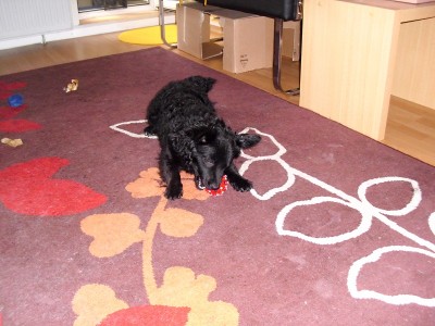 21.05.2011 005.JPG