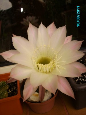 PICT1437.JPG