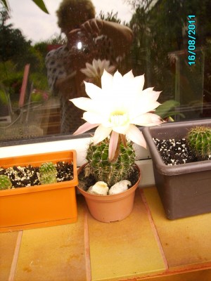 PICT1436.JPG