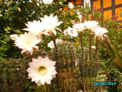 PICT1434.JPG